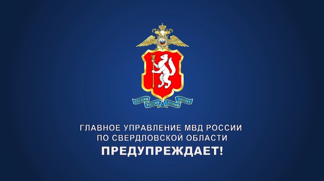 Главная